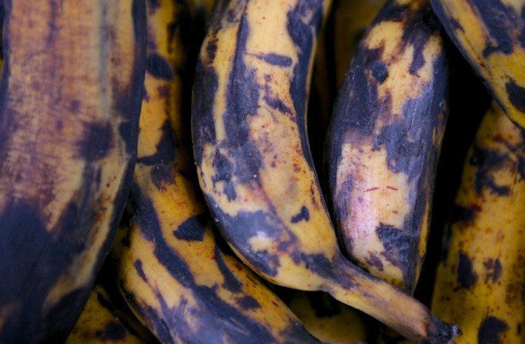 Which Banana Would You Eat? Your Answer May Have An Effect On Your Health 2024 | Desserts, Main Meals, RECIPES, Sweet Treats