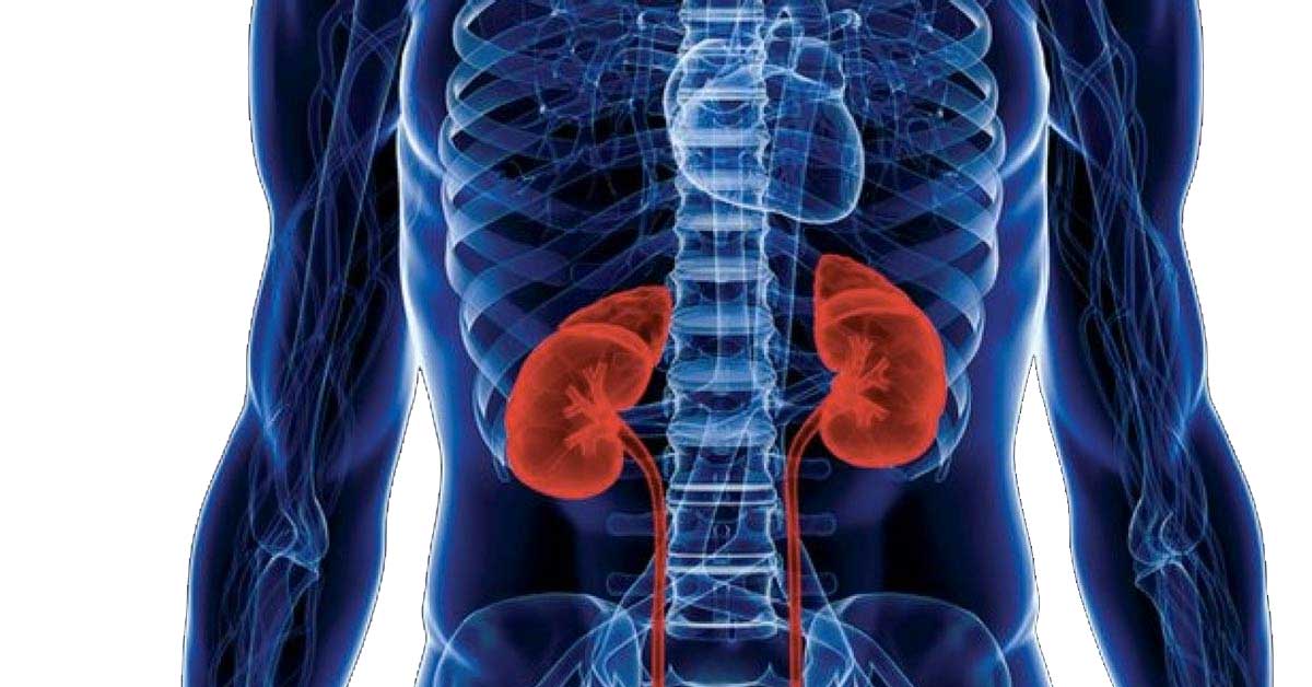 10 Deadly Habits Seriously Damaging Your Kidneys