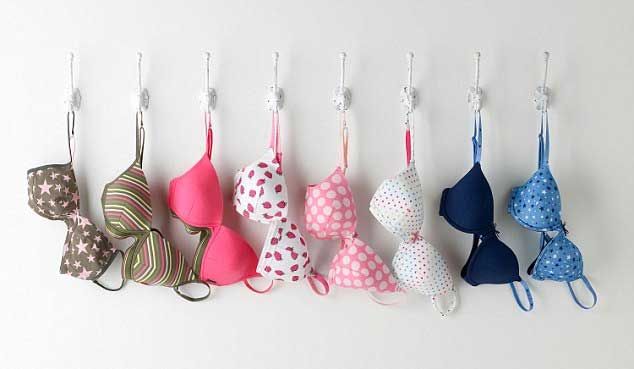 Scientists Urge Women To Ditch Their Bras, Here’s Why! 2024 | American, Appetizer, Beef Recipes, Dinner, Featured, Main Meals, RECIPES, Trending, Worldly Faves