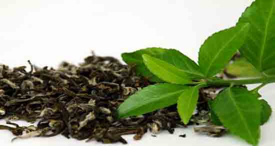 Get A Beautiful Skin With These 4 Treatments With Green Tea 2024 | Tips & Tricks