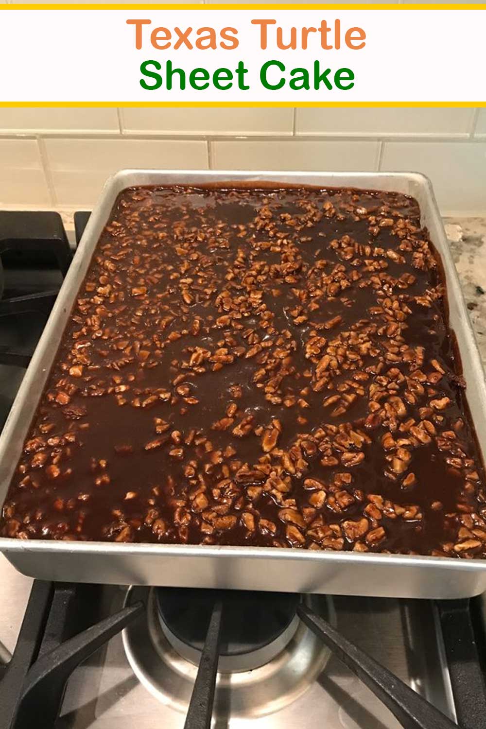 The Original Texas Turtle Sheet Cake