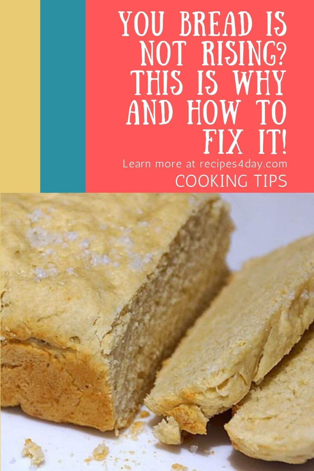 you-bread-is-not-rising-this-is-why-and-how-to-fix-it