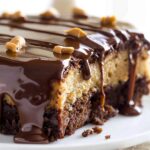 Chocolate Peanut Butter Ooey Gooey Cake Recipe