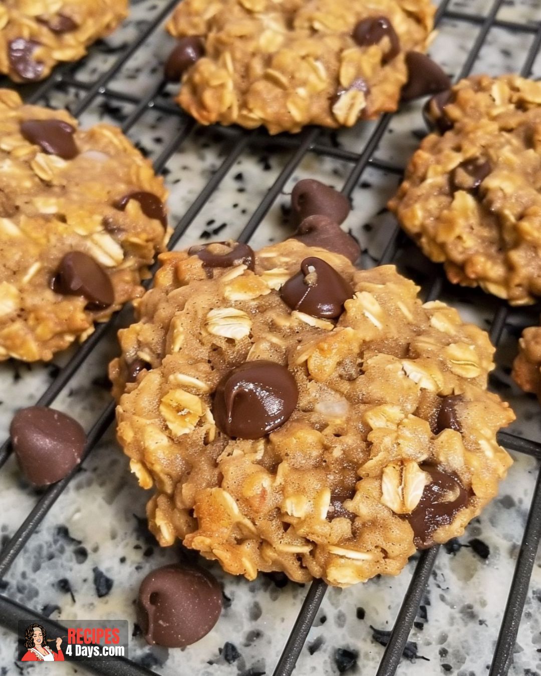 Oatmeal Breakfast Cookies Recipe