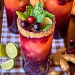 Blood Orange Ginger Cranberry Mojito’S Recipe